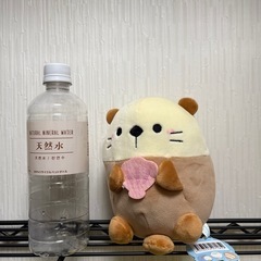 【決定】ラッコ　ぬいぐるみ