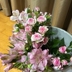 【無料で差し上げます。すぐに取りに来てくださる方、限定】切花　バラなどの画像