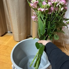 【無料で差し上げます。すぐに取りに来てくださる方、限定】切花　バラなどの画像
