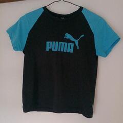 PUMA青黒シャツ130サイズ