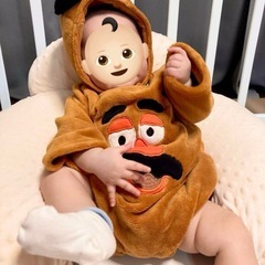 【⭐︎レア⭐︎美品⭐︎】トイ・ストーリー ミスター・ポテトヘッド 着ぐるみの画像