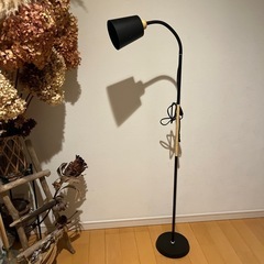 スタンドライト