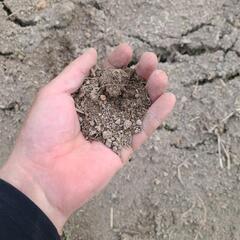 畑土 耕土 肥土 家庭菜園にの画像