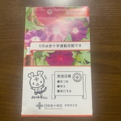 朝顔の種