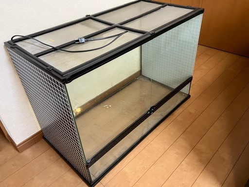 水槽　爬虫類　両生類