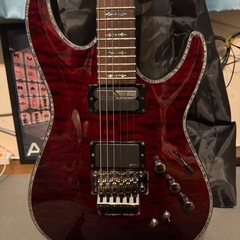 SCHECTER HELLRAISER ヘルレイザー C-1 FR S BCHの画像