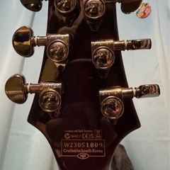 SCHECTER HELLRAISER ヘルレイザー C-1 FR S BCHの画像