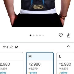 新品 姿勢サポーターの画像