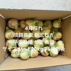 淡路島産 4月採れ 新玉ねぎ M～L 秀品 20kg早生品種 七...