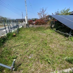 庭木剪定、草刈りの画像