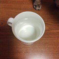 【未使用】プーさん マグカップの画像