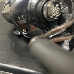 TATULAの画像