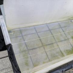 中古 ７０Ｌプラケース ２個　水入れ不可。カブクワ採集時、成虫カブクワ複数飼育用の画像