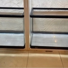 60cm ガラス水槽　1台分の価格です
