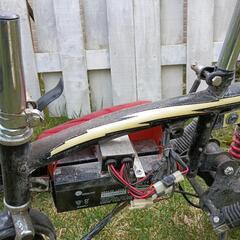 電動スクーター  エレクトリックライダー2台の画像