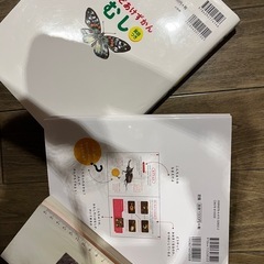 虫　図鑑　本　3冊セット
の画像