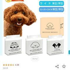 犬用トイレシート 薄型レギュラー800枚★お値下げ交渉可能