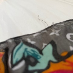 ルイヴィトン　ストールの画像