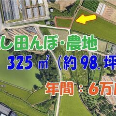 【貸土地】田んぼ・畑・ソロキャンプ・ドッグランにどうでしょうか？...