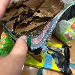 昆虫マット等　の画像