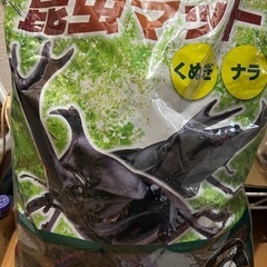 昆虫マット等　の画像