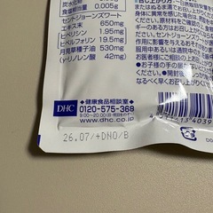DHCセントジョーンズワート20日分の画像