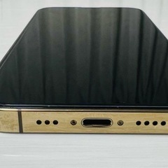 Apple iPhone 13 Pro ゴールド 256GB
の画像