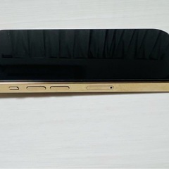 Apple iPhone 13 Pro ゴールド 256GB
の画像