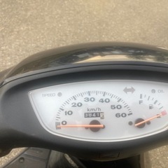 ホンダ ライブDIO ZX仕様車の画像