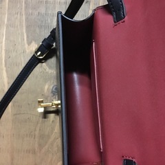 THE ROW Sofia8.75 の画像