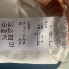 レディーストップスの画像
