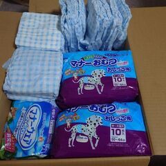 マナーベルト　LLサイズ　男の子用　108枚