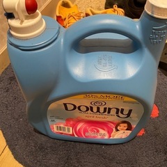 DOWNY