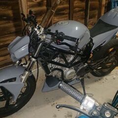 HONDA VTR250 ジャーマンストリートファイター ホンダ フルカスタムの画像