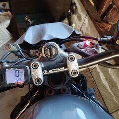 HONDA VTR250 ジャーマンストリートファイター ホンダ フルカスタムの画像