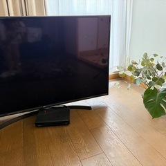 【ポイント10倍】 2019年製LGの55型テレビです 県庁通りのテレビ《液晶テレビ (re) テレビ