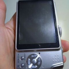 優良品　LUMIX 　DMC-TZ3　バッテリーのみ付属の画像