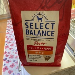 ドッグフード