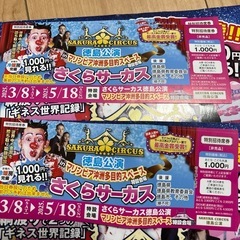 さくらサーカスチケット4枚