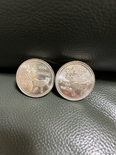1998年長野オリンピック記念硬貨2枚セット