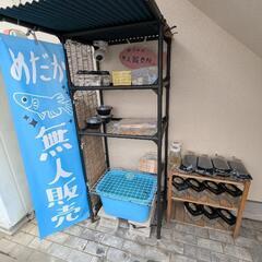 めだかの無人販売所
