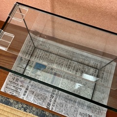 ガラス製の水槽 30×26×16の画像