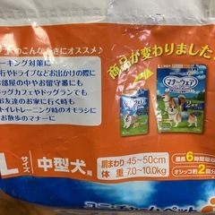 犬　マナーウエア　Lサイズの画像