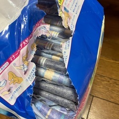 犬　マナーウエア　Lサイズの画像
