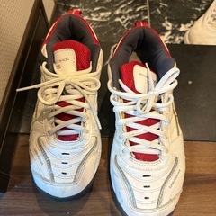 テニスシューズ 24cm