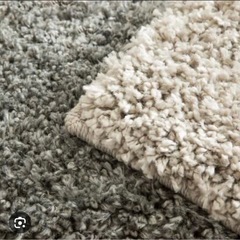 カーペット　ラグ
の画像
