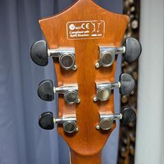 カスタムアコースティックギターElioth B305 NS (ニコ) 大磯の カスタムアコースティックギターElioth B305 NS (ニコ) 大磯の