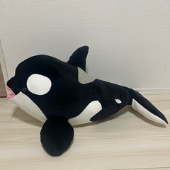 須磨シーワールド　　オルカくじ一等