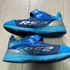 キッズ　シューズ　瞬足　シュンソク　17.0cm  の画像