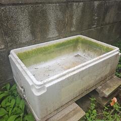 トロ箱